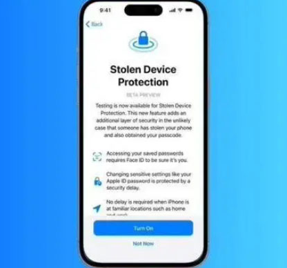 平武苹果授权维修店分享被盗设备保护功能开启方法 