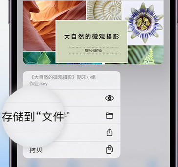 平武apple维修中心分享iPhone文件应用中存储和找到下载文件