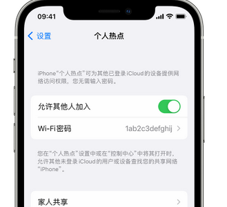 平武apple服务站点分享iPhone上个人热点丢失了怎么办