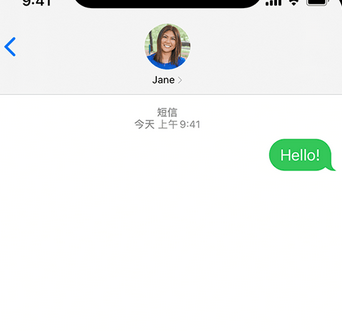 平武apple维修iPhone上无法正常发送iMessage信息