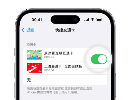 平武apple维修点分享iPhone上更换Apple Pay快捷交通卡手绘卡面 