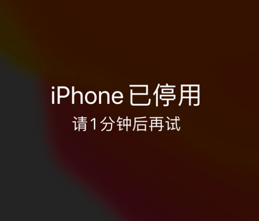 平武苹果手机维修分享:iPhone 显示“不可用”或“已停用”怎么办？还能保留数据吗？ 