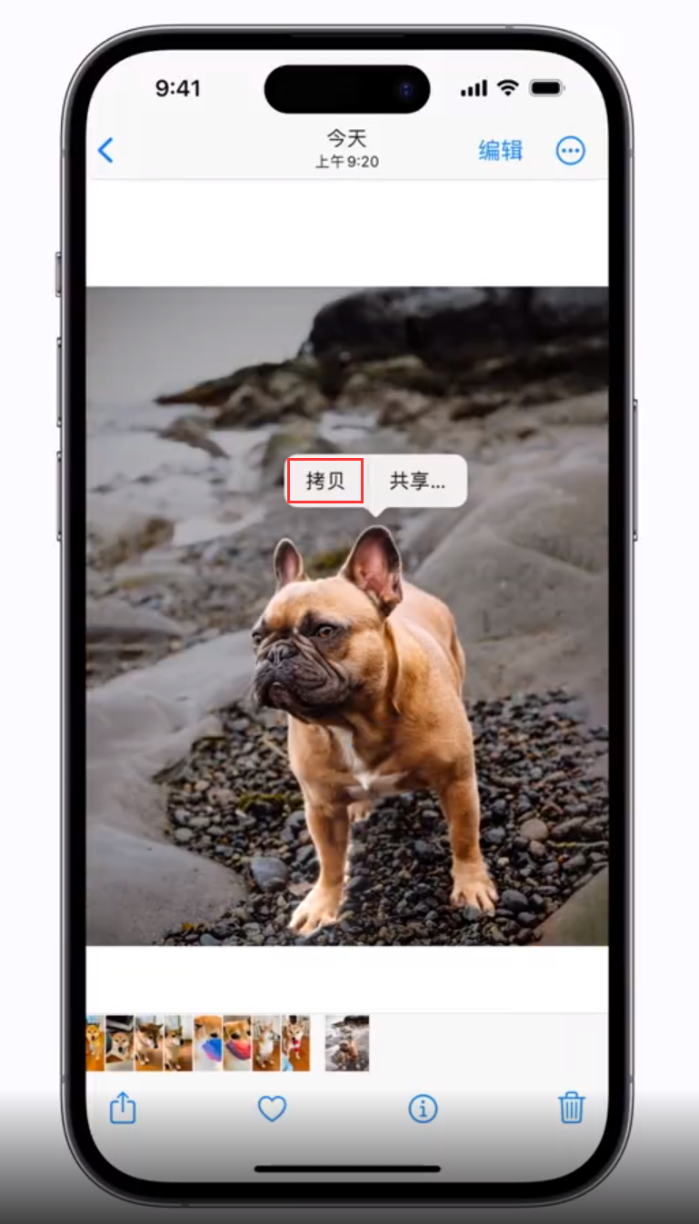 平武苹果手机维修分享 iOS 16 自带一键抠图功能 
