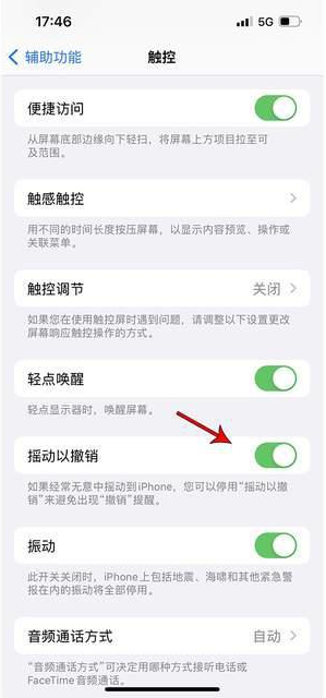 平武苹果手机维修分享iPhone手机如何设置摇一摇删除文字 