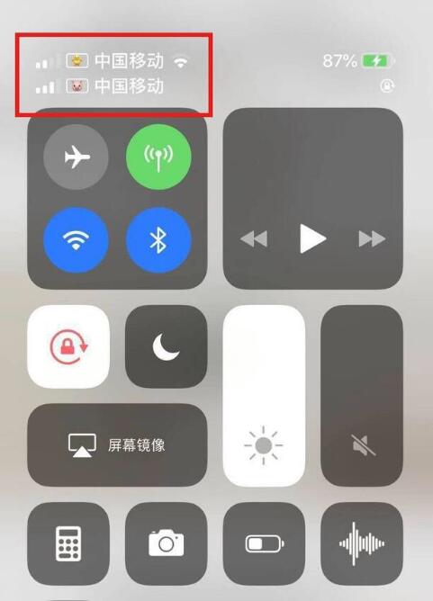 平武苹果手机维修分享为 iPhone 12 双卡设置标签 